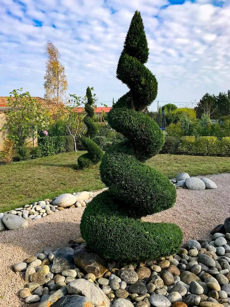 Taille d'un arbuste à proximité d'Annemasse