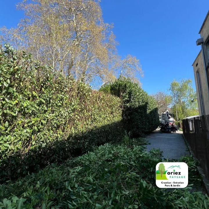 Taille de haie à proximité de Annemasse