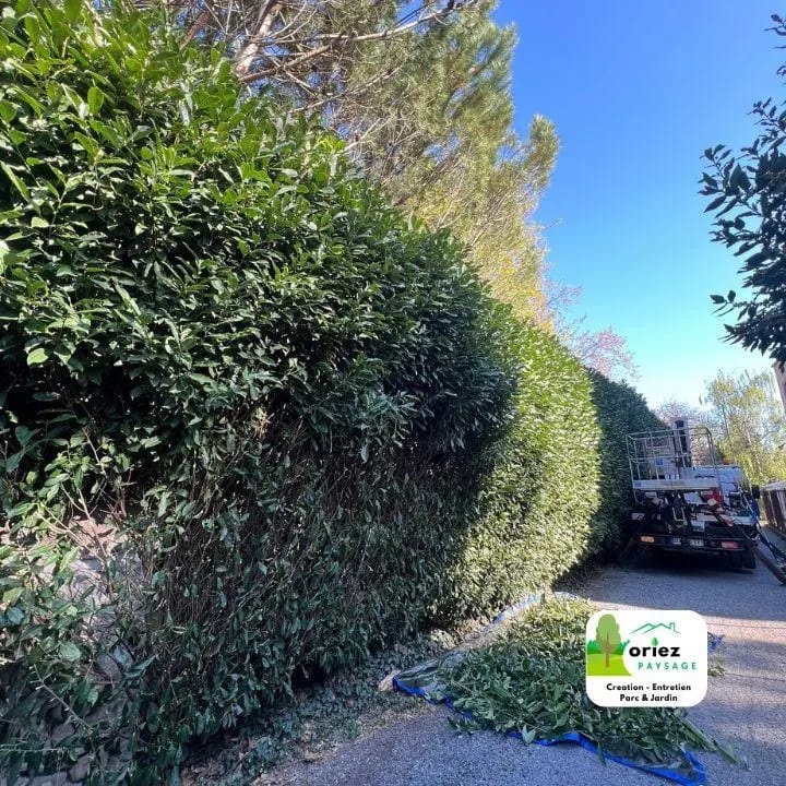 Taille de haies à proximité de Vétraz-Monthoux