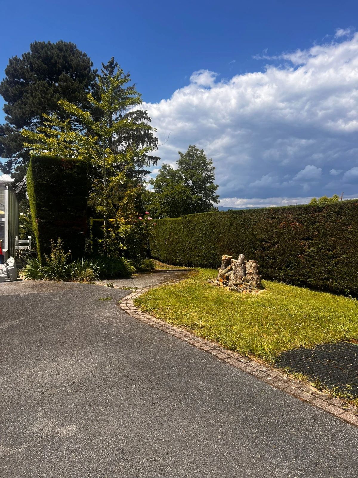 Abattage d'un arbre à proximité de Vétraz-Monthoux et Annemasse