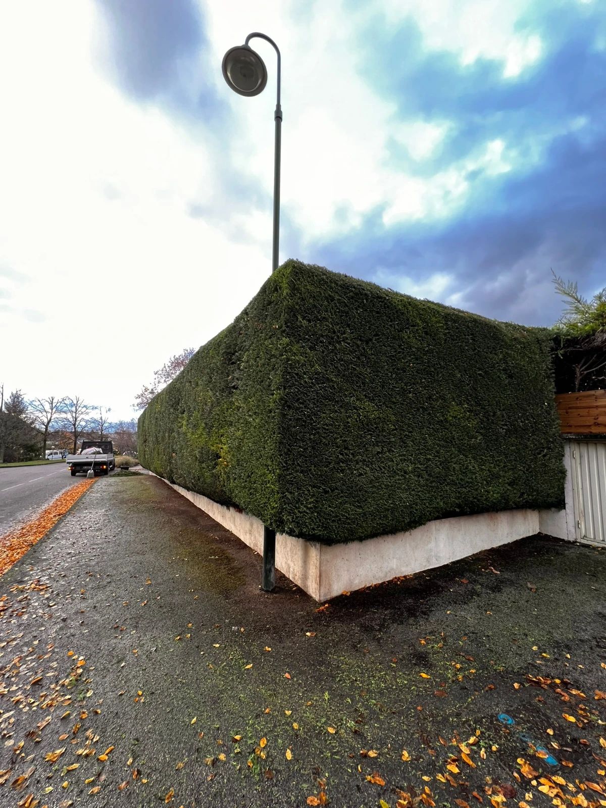Taille d'une haie à proximité de Vétraz-Monthoux