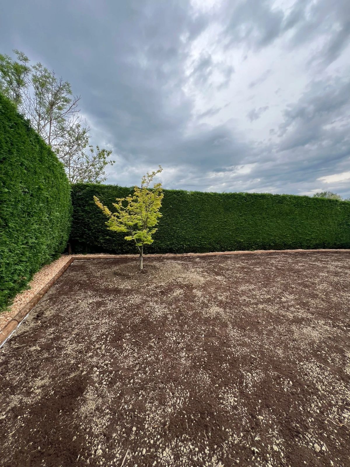 Engazonnement dans les environs de Collonges-sous-Salève
