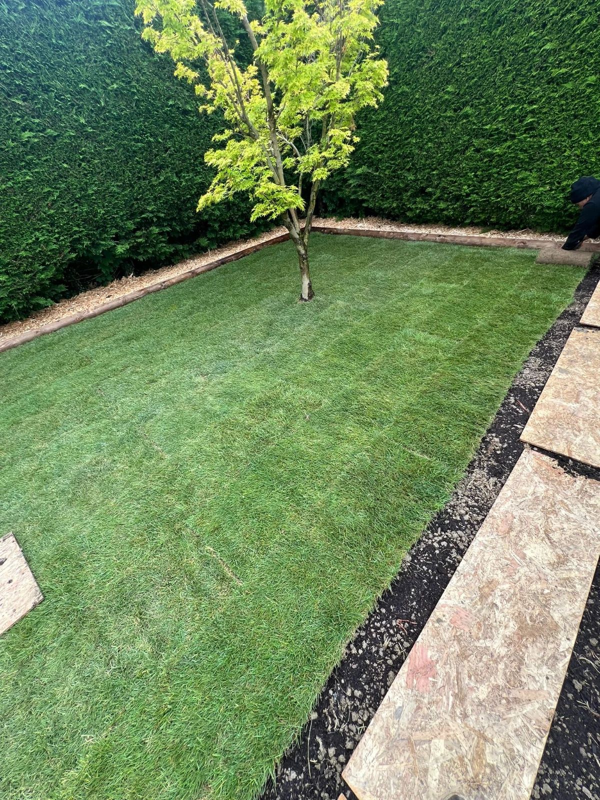 Pose de gazon à proximité de Reignier-Ésery