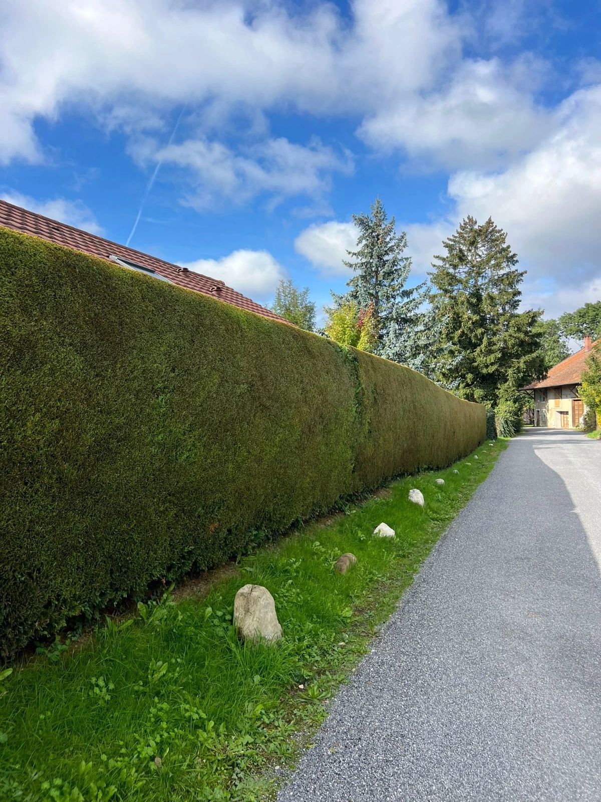 Taille de haie à proximité de Vétraz-Monthoux et Annemasse