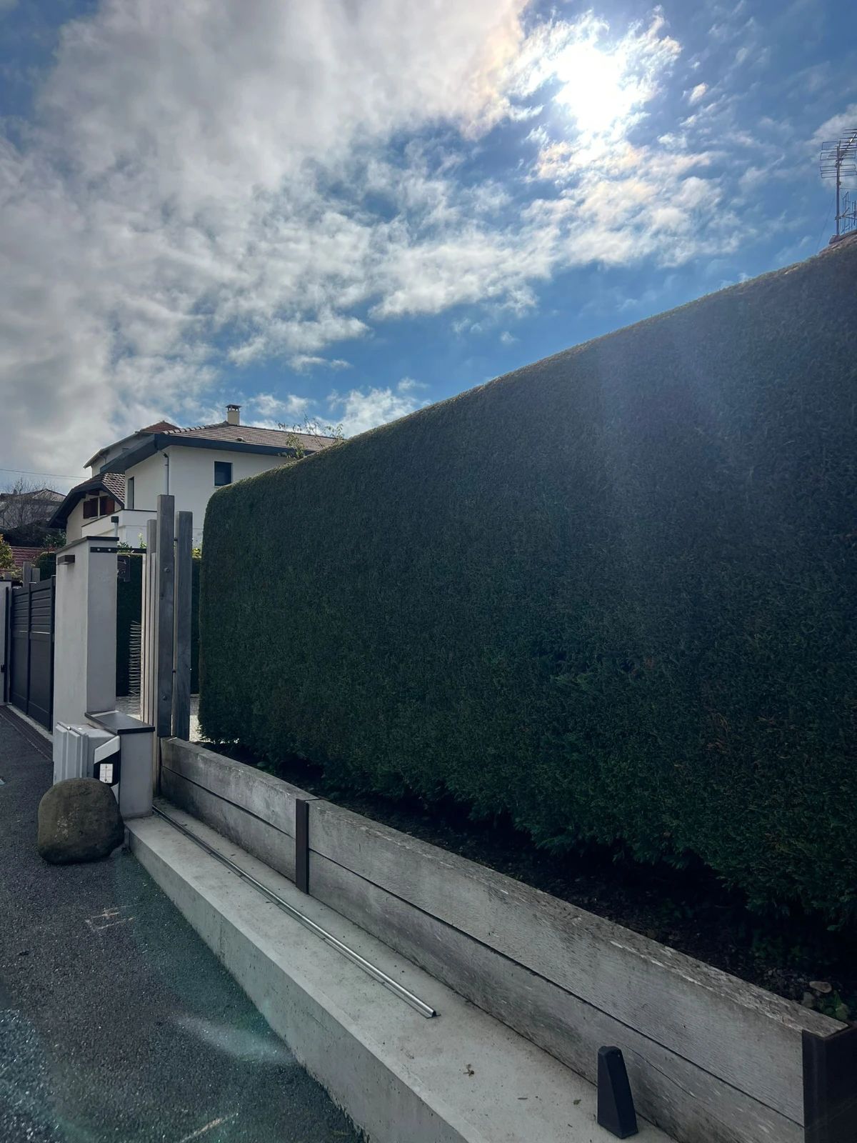 Taille de haie à proximité de Collonges-Sous-Salève