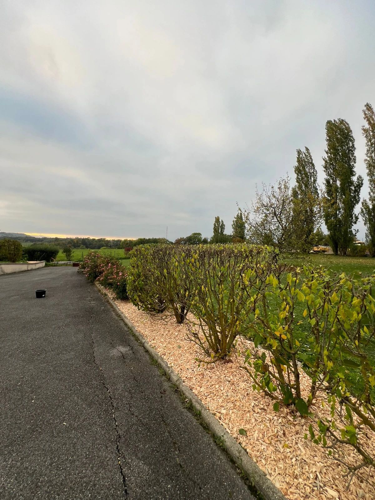 Création et entretien de massifs à proximité de Cranves-Sales